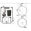 NEUMATICA TGA/TGS/TGX/TGM