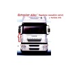 Retrovisor espejo camion STRALIS 1º