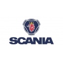 SCANIA BOTONERAS POMOS MANDOS